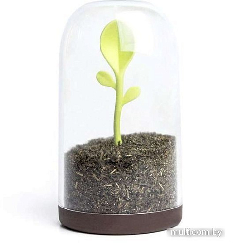 Емкость Qualy Sprout Jar QL10205-BN