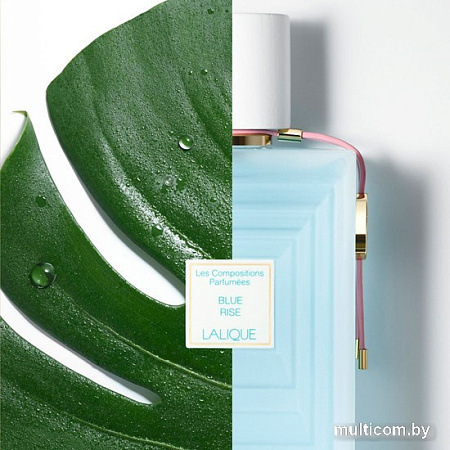 Парфюмерная вода Lalique Les Compositions Parfumees Blue Rise EdP (100 мл)