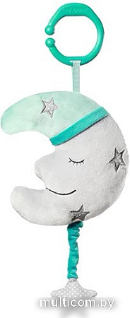 Развивающая игрушка BabyOno Happy Moon 610