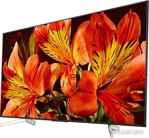 Телевизор Sony KD-75XF8596