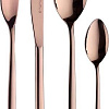 Набор столовых приборов Pintinox Olivia Copper 14H0S091