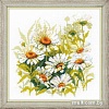 Набор для вышивания Риолис Крупные ромашки № 1765