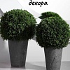 Искусственное растение Merry Bear Home Decor Туя шаровидная KDA0255