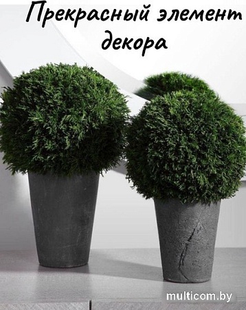 Искусственное растение Merry Bear Home Decor Туя шаровидная KDA0255