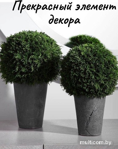 Искусственное растение Merry Bear Home Decor Туя шаровидная KDA0255