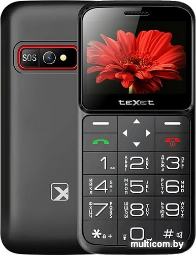 Мобильный телефон TeXet TM-В226 (черный)