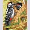 Набор для вышивания Риолис Дятел № 1851