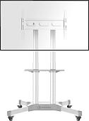 Кронштейн Onkron TS1351 (белый)