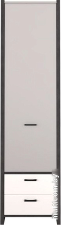 Шкаф распашной Black Red White Kristoff REG1D2S (матера/серый)