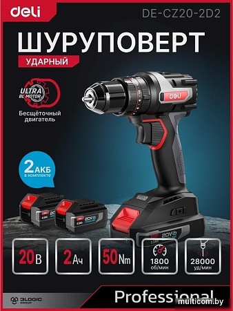 Ударная дрель-шуруповерт Deli DE-CZ20-2D2 (с 2-мя АКБ, сумка)