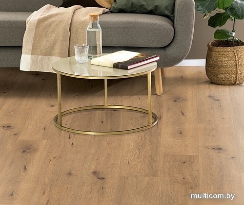 Ламинированный пол EGGER Pro Classic 4V EPL182 Дикий дуб натуральный
