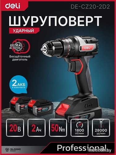 Ударная дрель-шуруповерт Deli DE-CZ20-2D2 (с 2-мя АКБ, сумка)