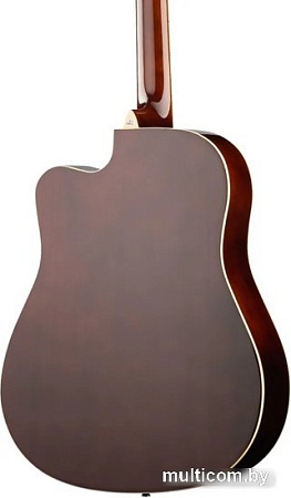 Акустическая гитара Naranda DG120CBS