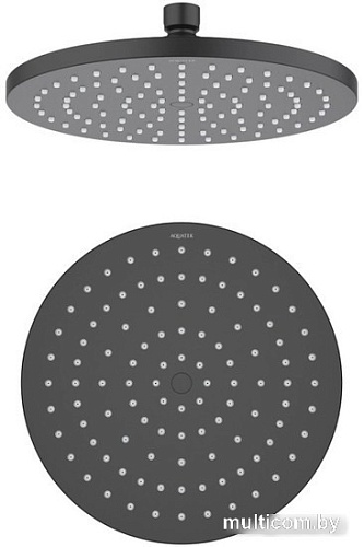 Душевая лейка Aquatek AQ2086MB