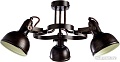 Люстра Arte Lamp Martin A5216PL-3BR