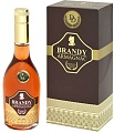Парфюмерия Positive Brandy Armagnac EdT (100 мл)