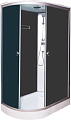 Водный мир ВМ-877 R 80x120 (черный/тонированное стекло)
