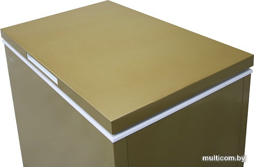 Морозильный ларь Willmark CF-310CS (золотистый)