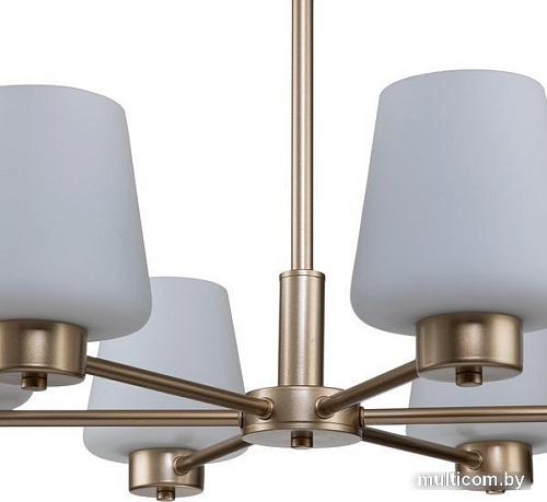 Подвесная люстра Indigo Tulip V000001