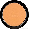 Тональная пудра Paese Illuminating Covering Powder (тон 2C)