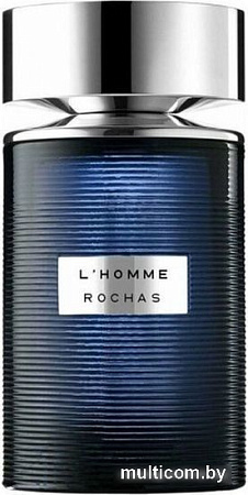 Туалетная вода Rochas L'homme Rochas EdT (100 мл)