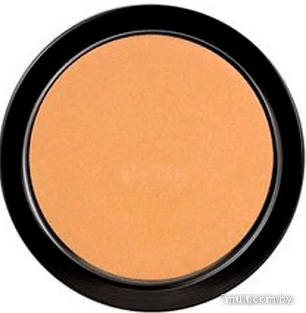 Тональная пудра Paese Illuminating Covering Powder (тон 2C)