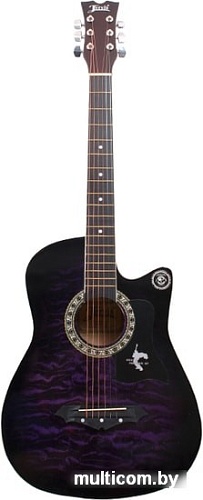 Акустическая гитара Jervis JG-381C (фиолетовый)