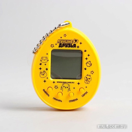 Развивающая игра Funny Toys Возьми меня к себе 5161591