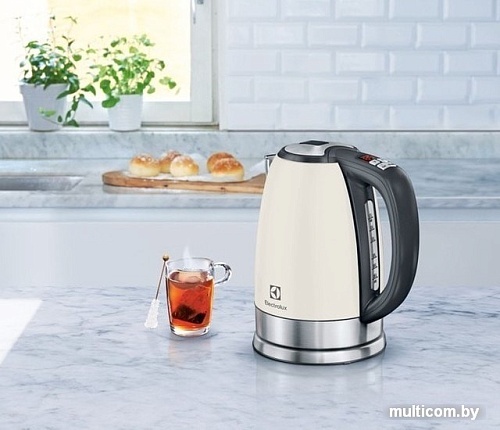 Электрочайник Electrolux EEWA7700W
