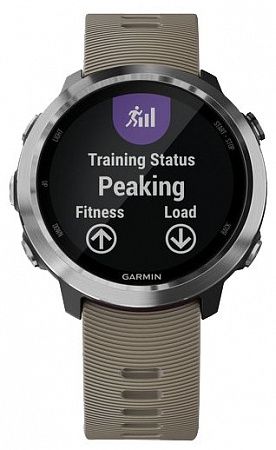 Часы Garmin Forerunner 645