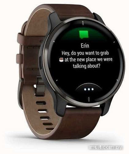 Умные часы Garmin Venu 2 Plus (черный/коричневый)