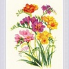 Набор для вышивания Риолис Ароматные фрезии № 1821
