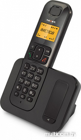 Радиотелефон TeXet TX-D6605A