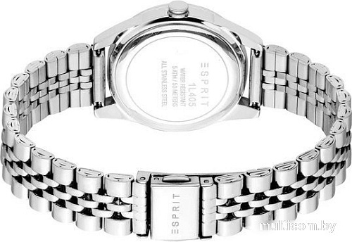 Наручные часы Esprit ES1L405M0015