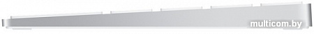 Клавиатура Apple Magic Keyboard [MQ052RS]