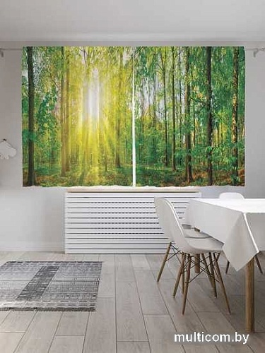 Комплект штор JoyArty Лесные лучи Oxford DeLux 1.45x1.8 м (2 шт)