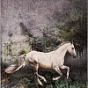 Плед Arya Horse 8680943247216 200x220 (черный)