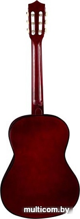 Акустическая гитара Terris TC-3801A SB