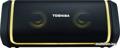 Беспроводная колонка Toshiba TY-WSP150
