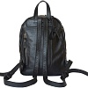 Рюкзак Carlo Gattini Classico Anzolla 3040-01 (черный)