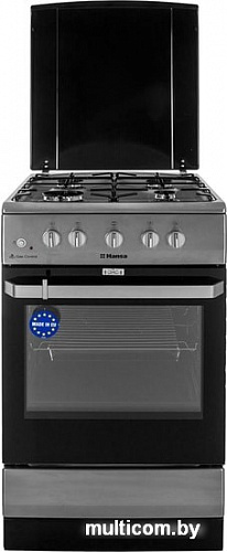 Кухонная плита Hansa FCGX58099
