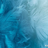 Фотообои Vimala Перья 20 270x400