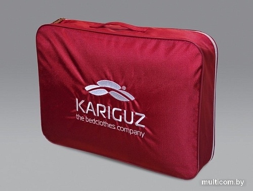 Спальная подушка Kariguz Чистый верблюд 3ЧВ15-5 (68x68 см)