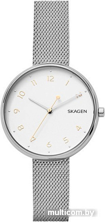 Наручные часы Skagen SKW2623