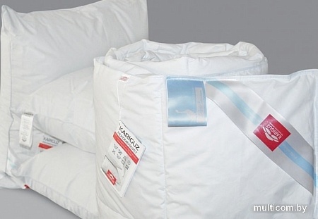 Спальная подушка Kariguz Гидрохлопок ГХ10-3 (50x68 см)