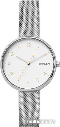 Наручные часы Skagen SKW2623