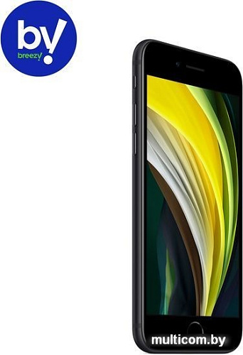 Смартфон Apple iPhone SE 256GB Воcстановленный by Breezy, грейд B (черный)