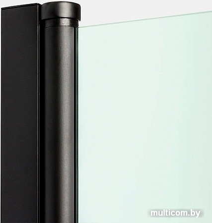 Душевая дверь NEW TRENDY New Soleo Black 100 D-0242A