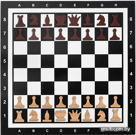 Шахматы Время игры Демонстрационные 4870420