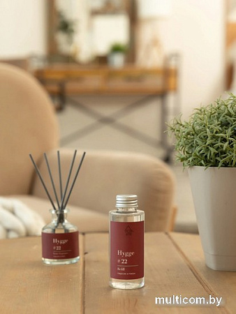 Жидкость для аромадиффузора Arida Home Hygge №22 Персик и пион (100мл)